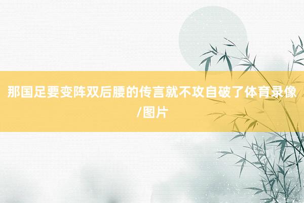 那国足要变阵双后腰的传言就不攻自破了体育录像/图片