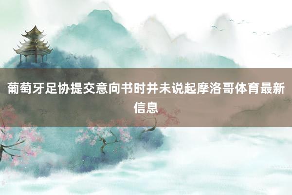 葡萄牙足协提交意向书时并未说起摩洛哥体育最新信息