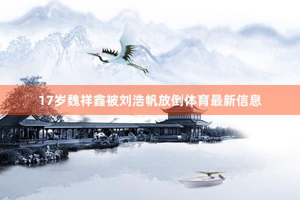 17岁魏祥鑫被刘浩帆放倒体育最新信息