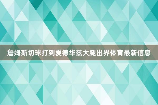 詹姆斯切球打到爱德华兹大腿出界体育最新信息