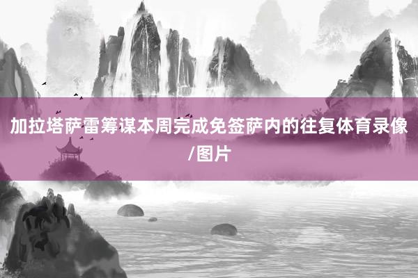加拉塔萨雷筹谋本周完成免签萨内的往复体育录像/图片
