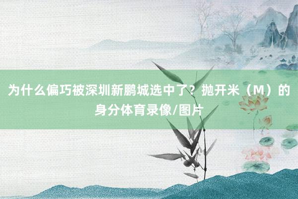 为什么偏巧被深圳新鹏城选中了？抛开米（M）的身分体育录像/图片