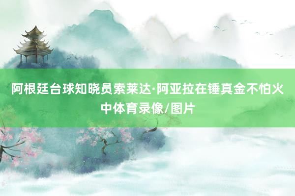 阿根廷台球知晓员索莱达·阿亚拉在锤真金不怕火中体育录像/图片