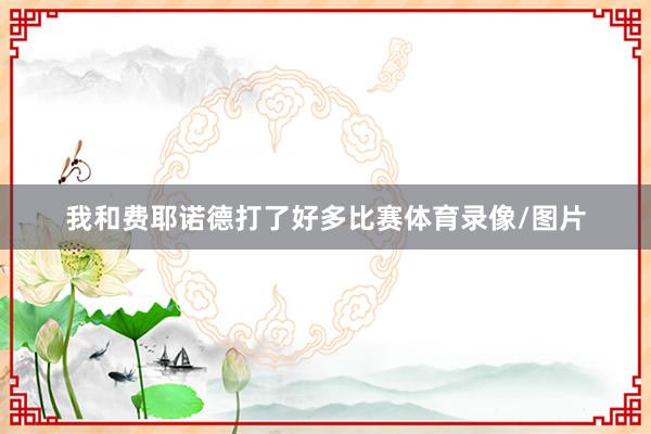 我和费耶诺德打了好多比赛体育录像/图片