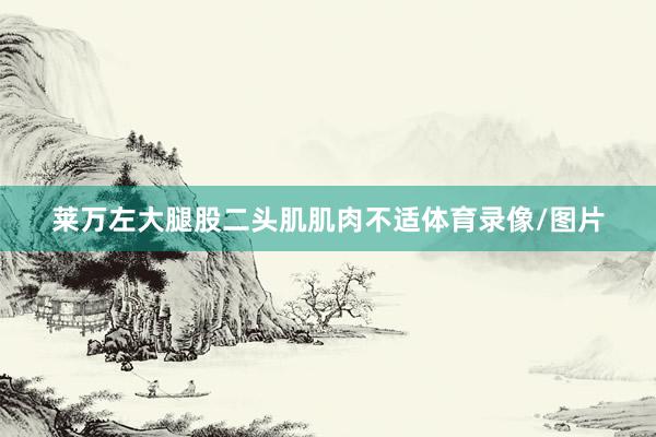 莱万左大腿股二头肌肌肉不适体育录像/图片