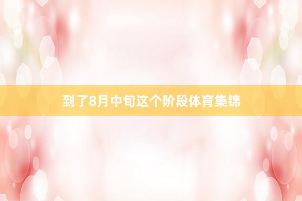 到了8月中旬这个阶段体育集锦