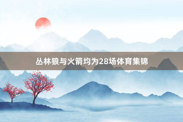 丛林狼与火箭均为28场体育集锦