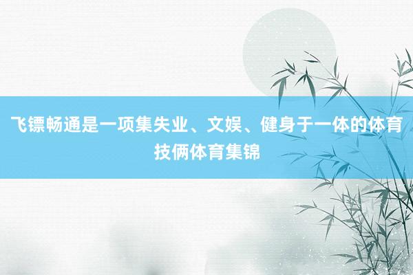 飞镖畅通是一项集失业、文娱、健身于一体的体育技俩体育集锦