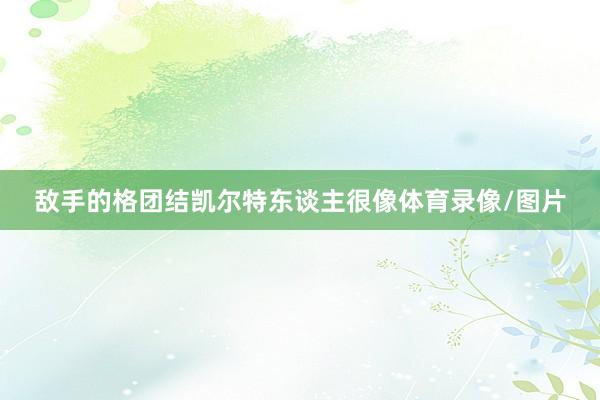 敌手的格团结凯尔特东谈主很像体育录像/图片