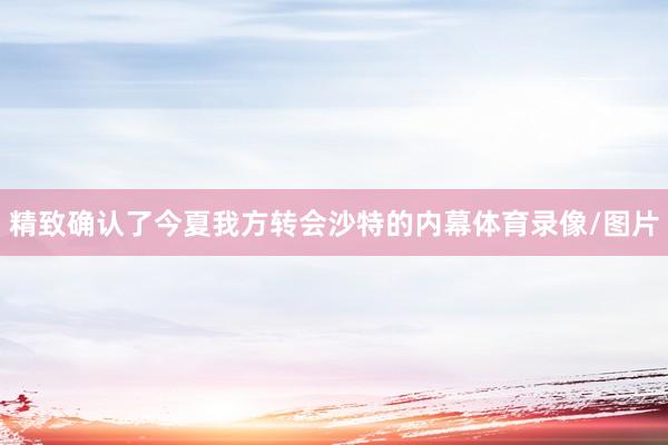精致确认了今夏我方转会沙特的内幕体育录像/图片