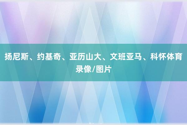 扬尼斯、约基奇、亚历山大、文班亚马、科怀体育录像/图片